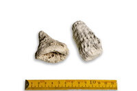 F 03174
<br/>
<br/>
<em></em>